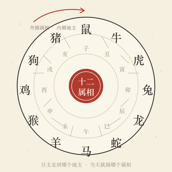 十二生肖环形示意