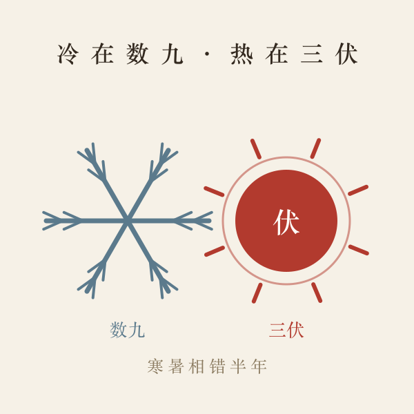 三伏天时间表