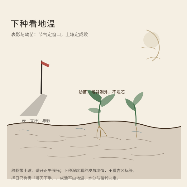 幼苗与表影：下种看地温，不看运气