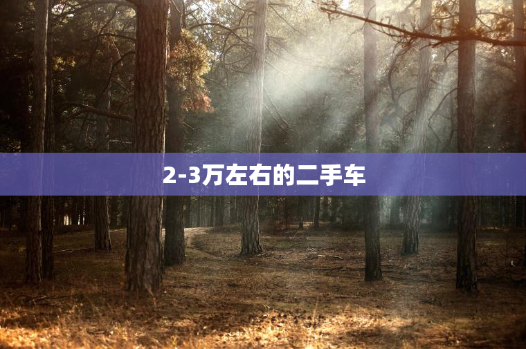 2-3万左右的二手车