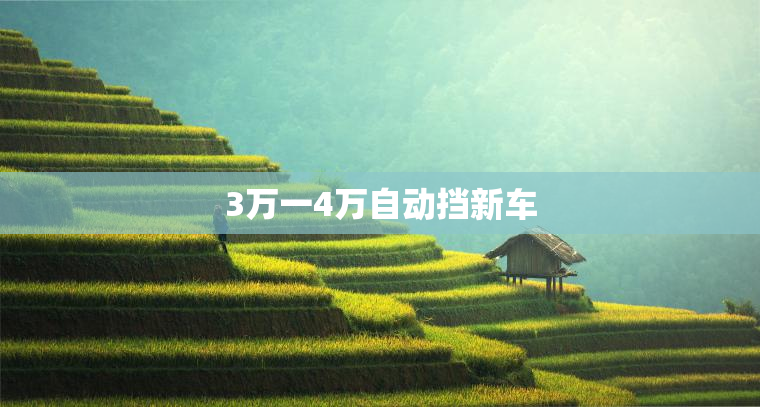 3万一4万自动挡新车