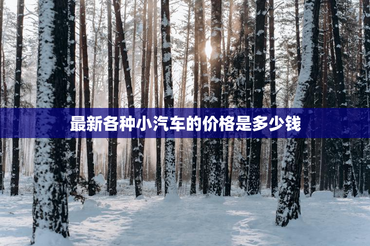 最新各种小汽车的价格是多少钱