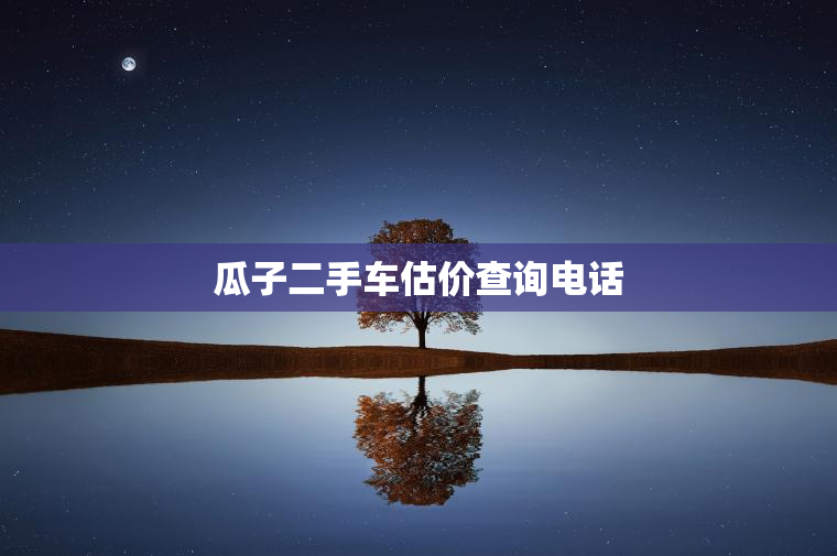 瓜子二手车估价查询电话