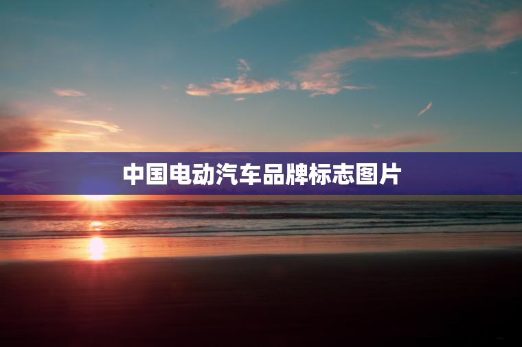 中国电动汽车品牌标志图片 中国电动汽车品牌标志图片