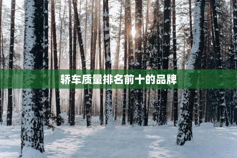 轿车质量排名前十的品牌