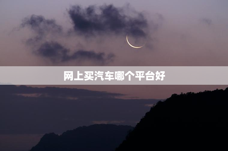 网上买汽车哪个平台好