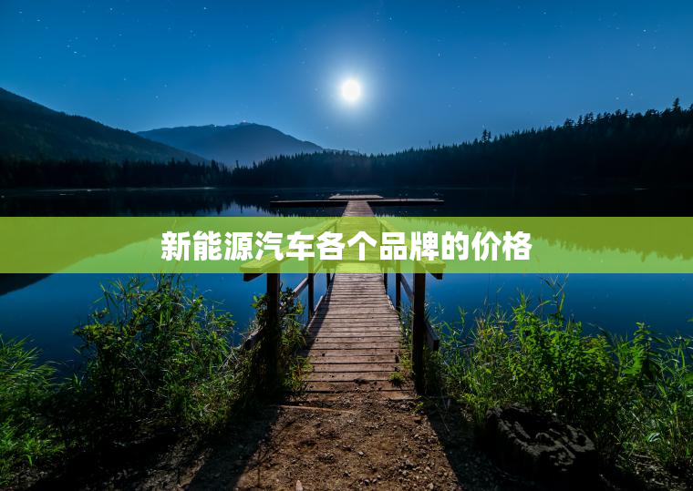 新能源汽车各个品牌的价格