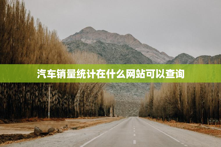 汽车销量统计在什么网站可以查询
