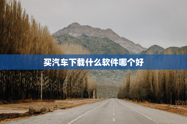 买汽车下载什么软件哪个好