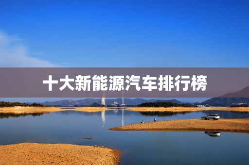 十大新能源汽车排行榜