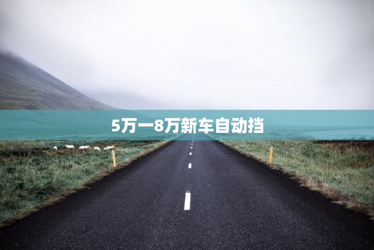 5万一8万新车自动挡