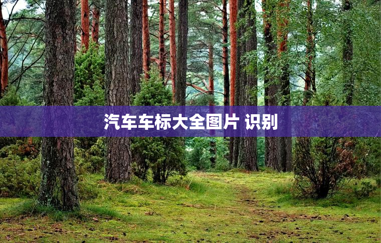 汽车车标大全图片 识别