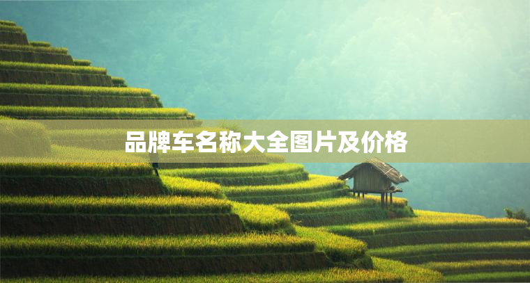 品牌车名称大全图片及价格