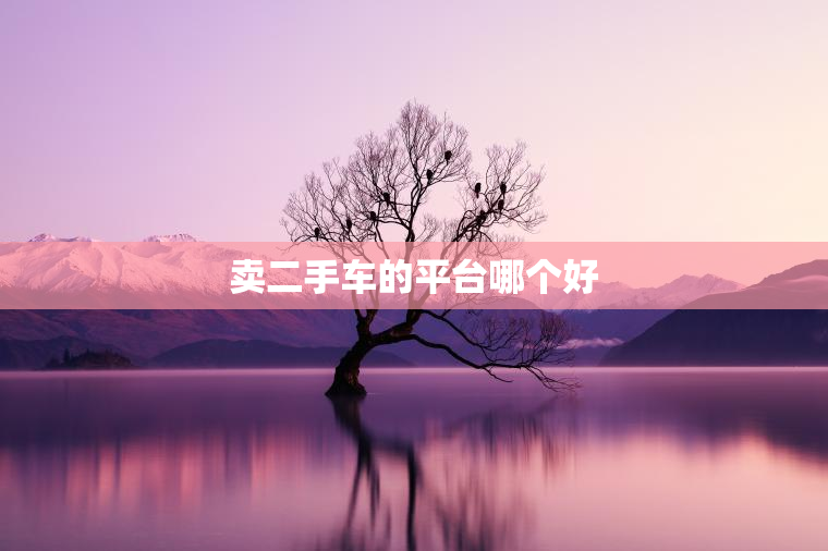 卖二手车的平台哪个好