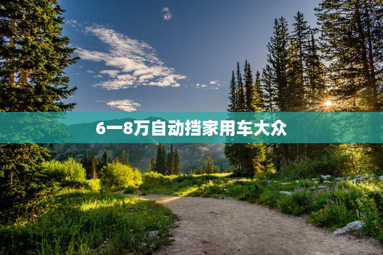 6一8万自动挡家用车大众