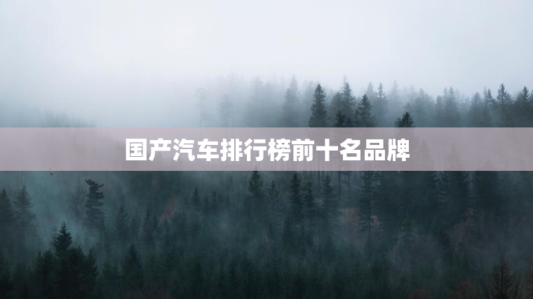 国产汽车排行榜前十名品牌