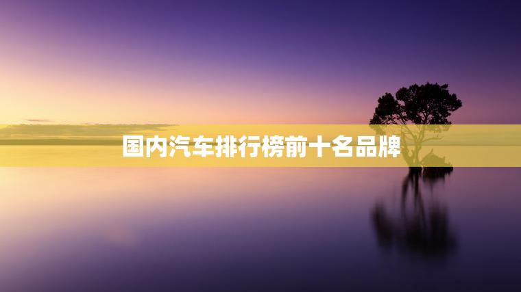 国内汽车排行榜前十名品牌