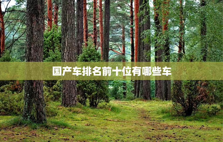 国产车排名前十位有哪些车