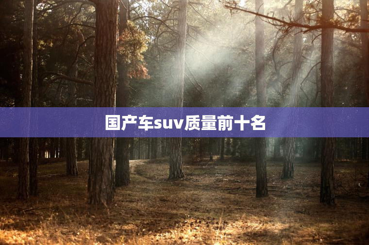 国产车suv质量前十名