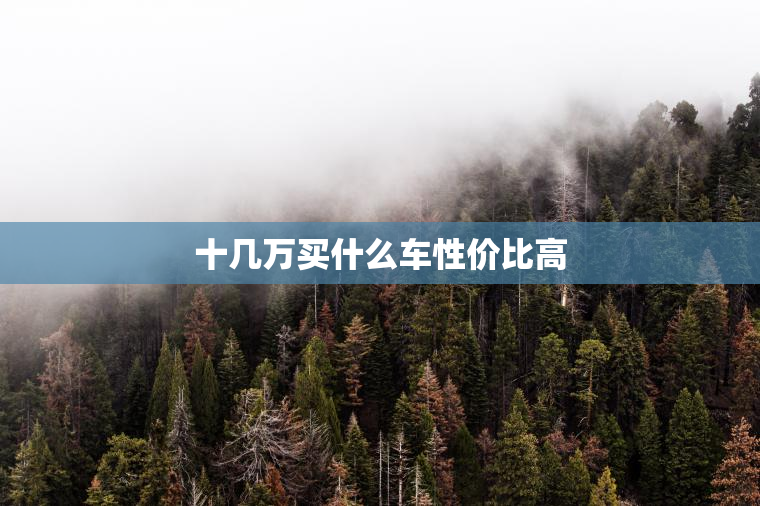 十几万买什么车性价比高