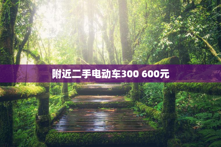 附近二手电动车300 600元