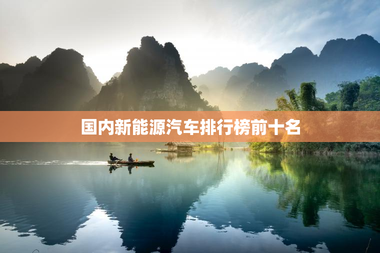 国内新能源汽车排行榜前十名
