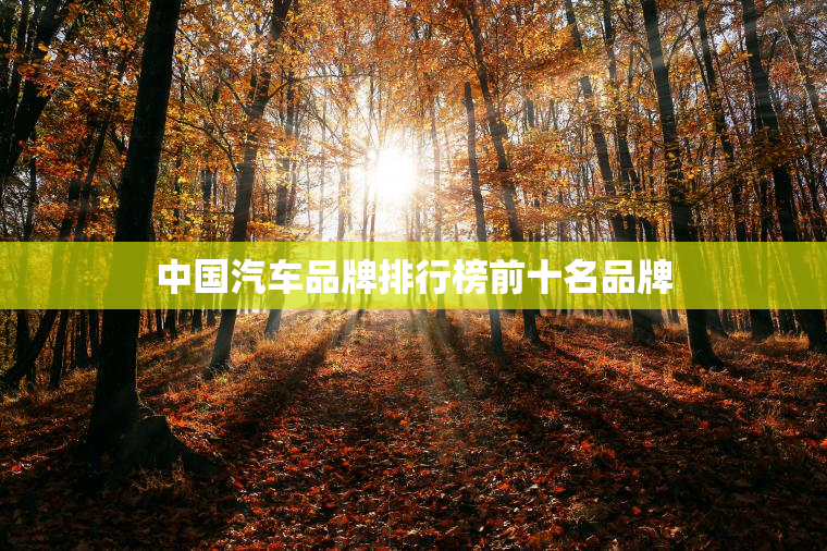 中国汽车品牌排行榜前十名品牌