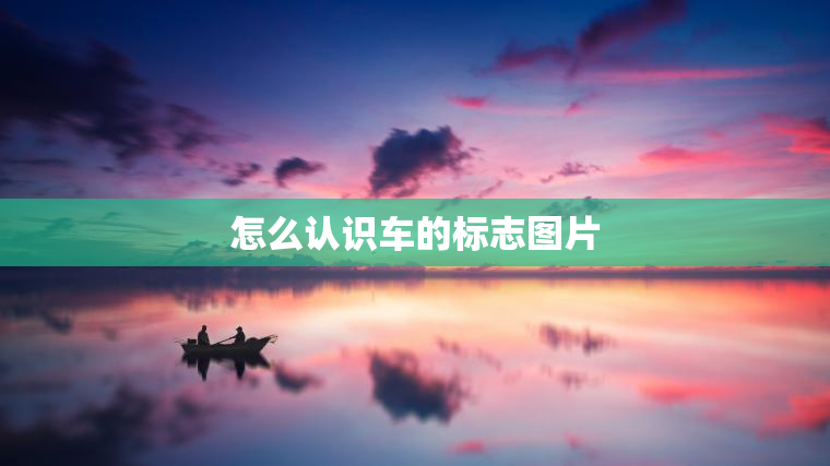 怎么认识车的标志图片