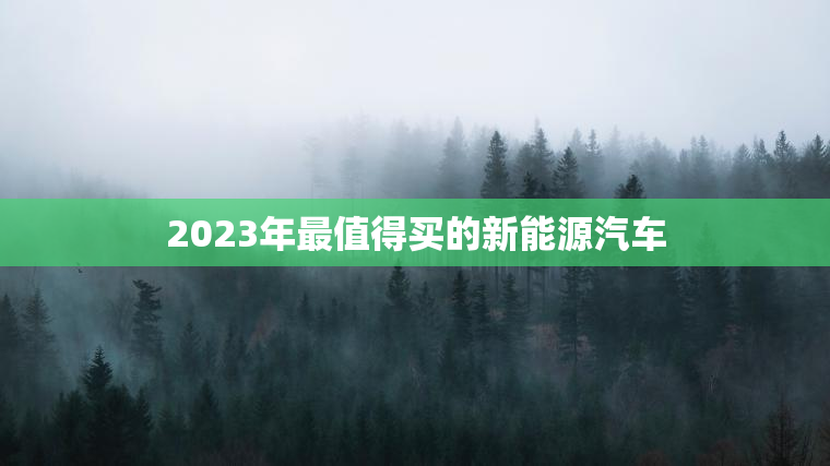 2023年最值得买的新能源汽车