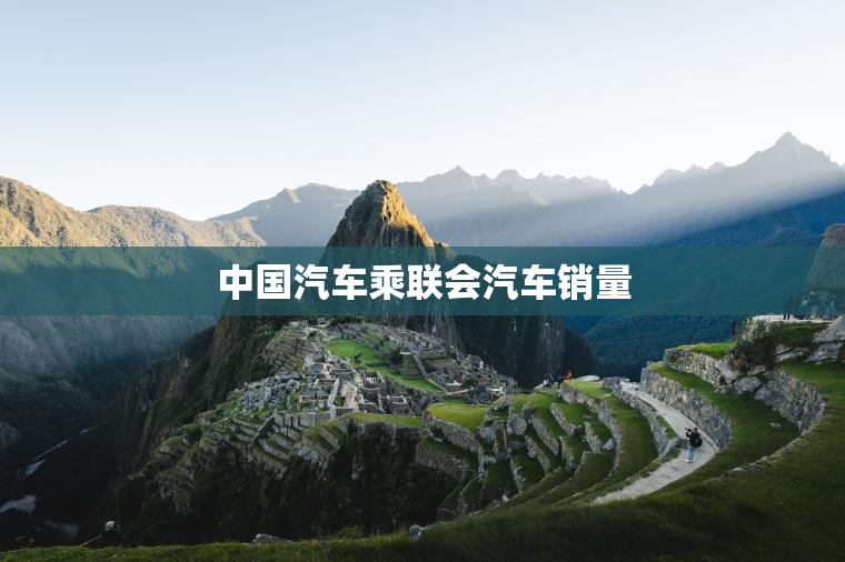 中国汽车乘联会汽车销量