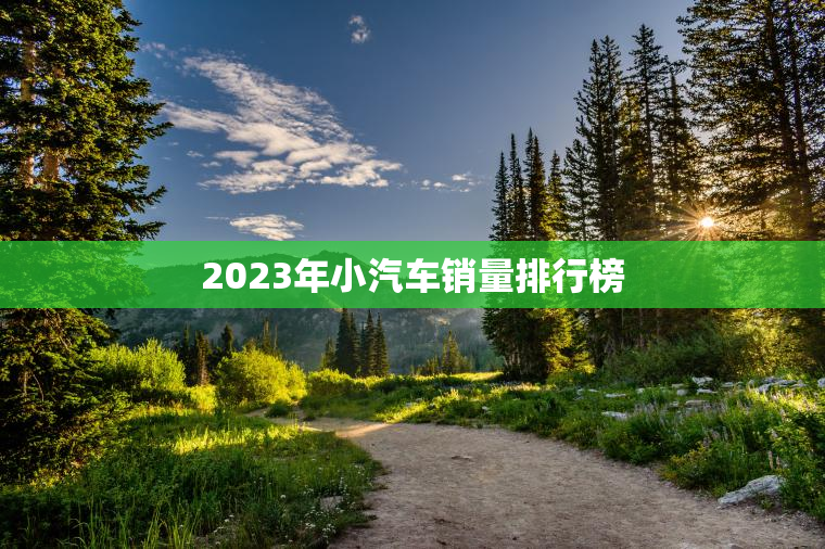 2023年小汽车销量排行榜