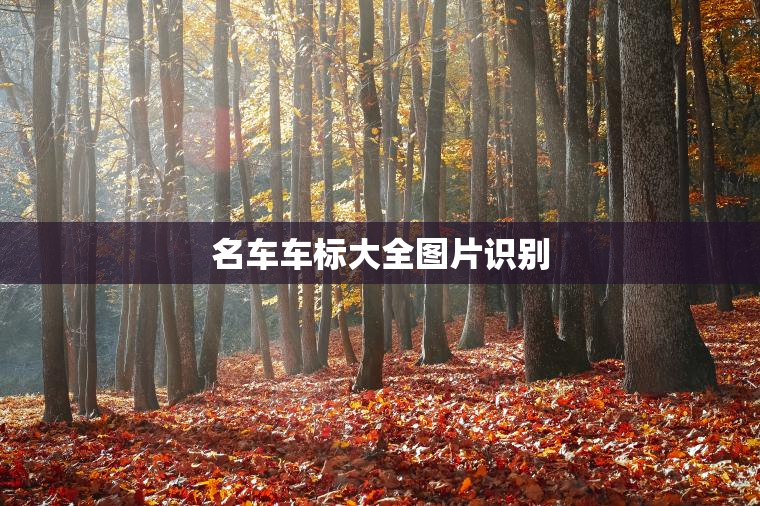 名车车标大全图片识别