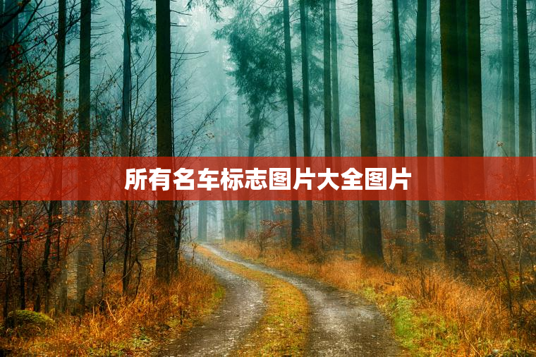 所有名车标志图片大全图片 所有名车标志图片大全图片
