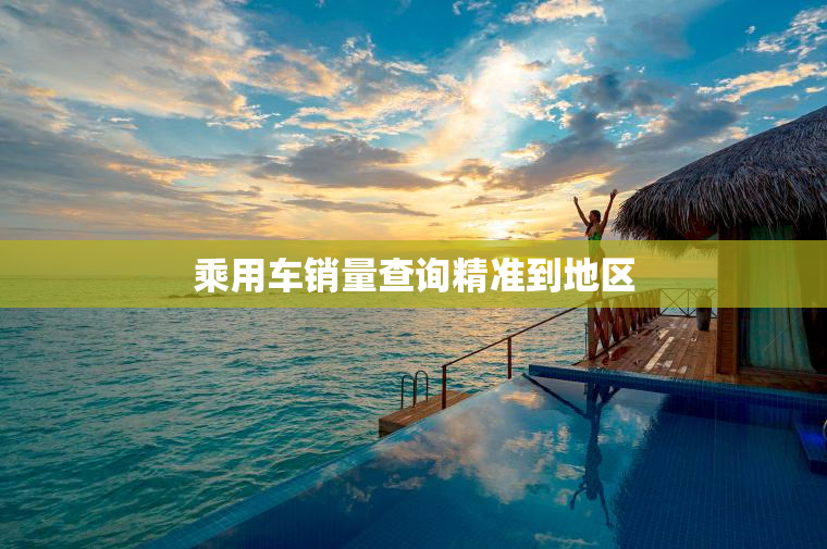 乘用车销量查询精准到地区