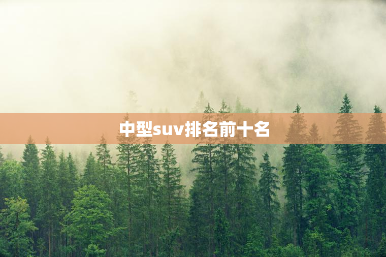 中型suv排名前十名