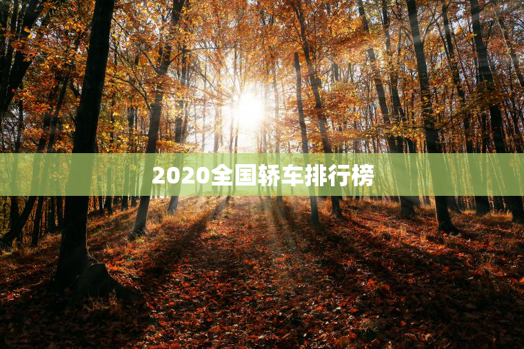 2023全国轿车排行榜
