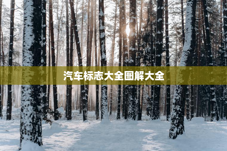 汽车标志大全图解大全