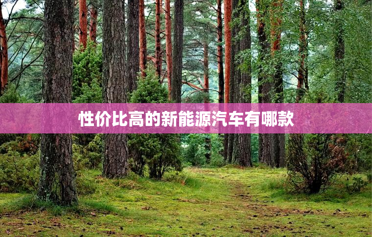 性价比高的新能源汽车有哪款