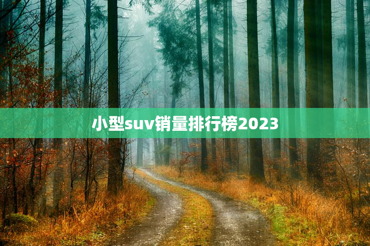 小型suv销量排行榜2023