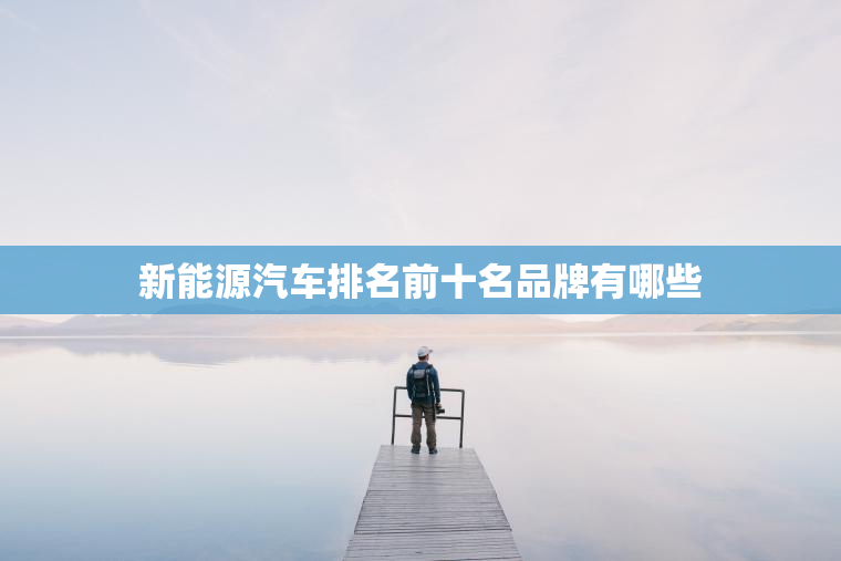 新能源汽车排名前十名品牌有哪些