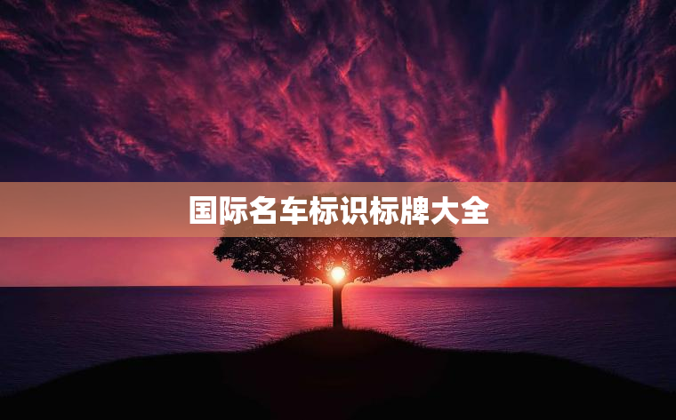 国际名车标识标牌大全