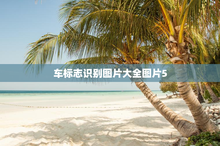 车标志识别图片大全图片5