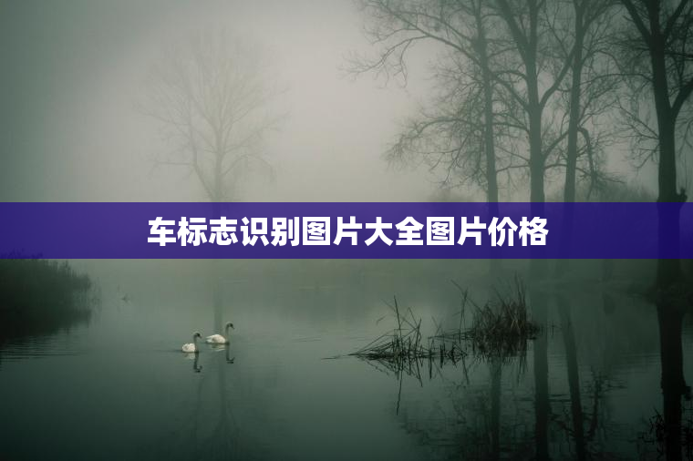 车标志识别图片大全图片价格