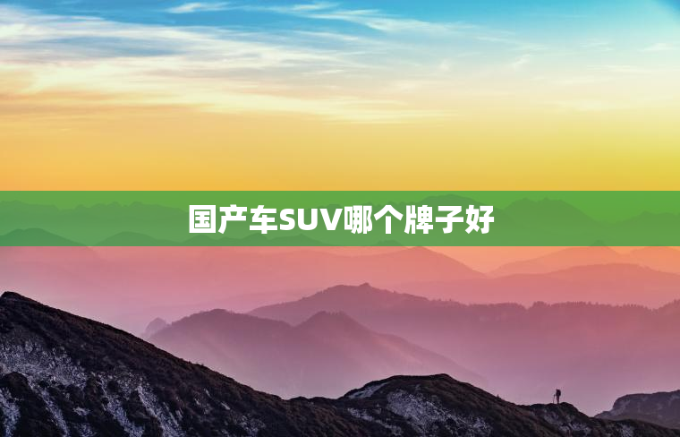 国产车SUV哪个牌子好