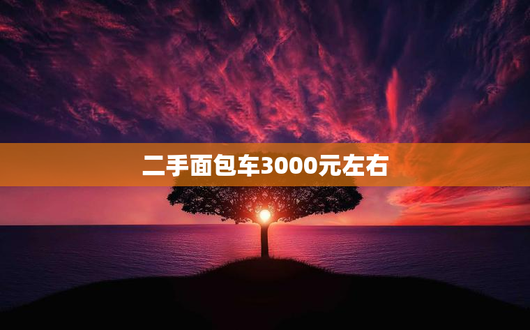 二手面包车3000元左右