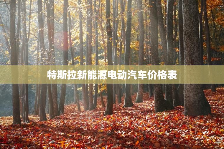 特斯拉新能源电动汽车价格表