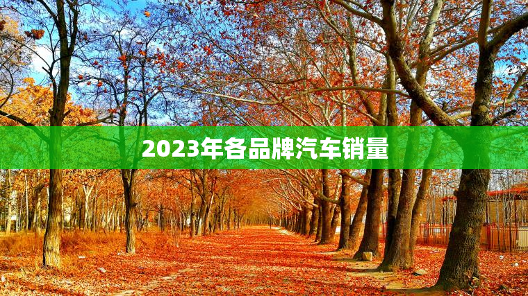 2023年各品牌汽车销量