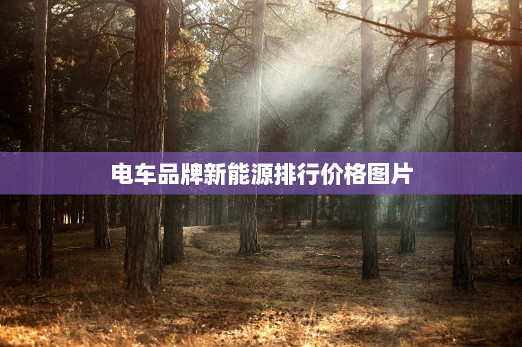 电车品牌新能源排行价格图片