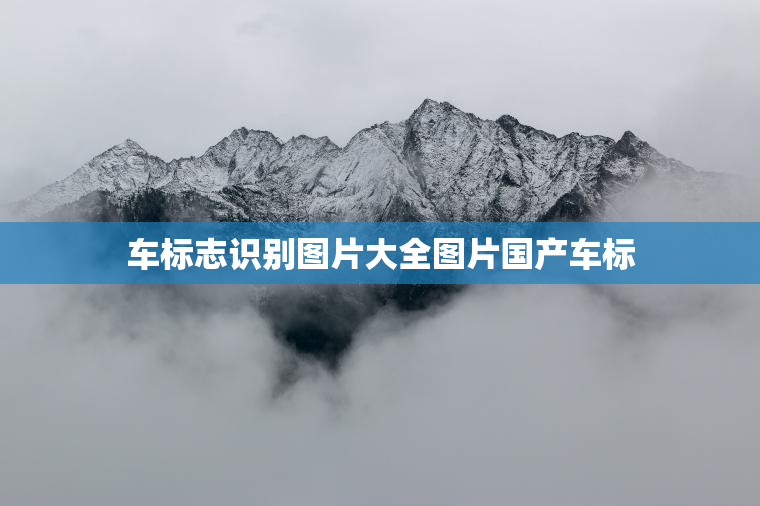 车标志识别图片大全图片国产车标