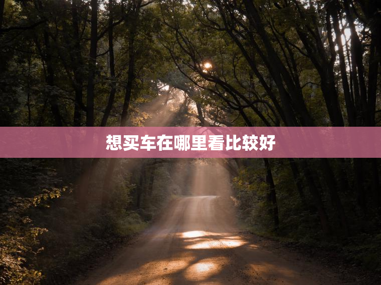 想买车在哪里看比较好
